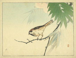 雀