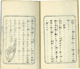 西洋料理指南