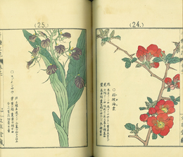 千種之花