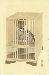 文鳥