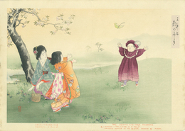 三井好　都のにしき　春乃野