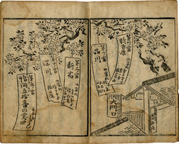 ［東西南北］突当富魂短