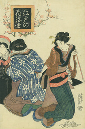 江戸の花浮世