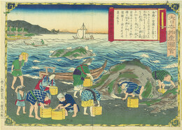 大日本物産図会　越前国　海膽取之図