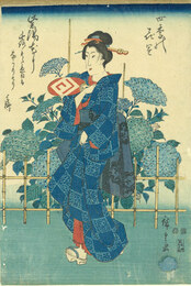 四季の花園　紫陽花