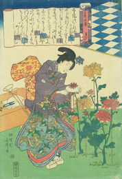 五節文章　菊月の文