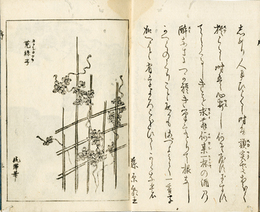 ［随筆］菟糸子