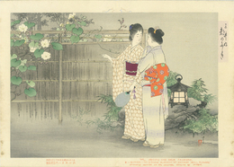 三井好　都のにしき　夜会草