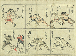 相撲組手六種