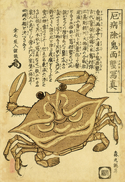 厄病除鬼面蟹写真