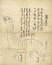 蘆犀　