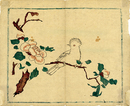 花鳥
