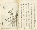 ［随筆］菟糸子