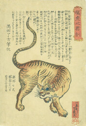 猛虎之略説