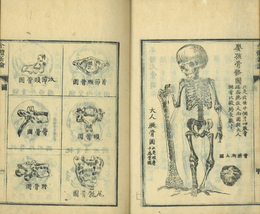 全体新論