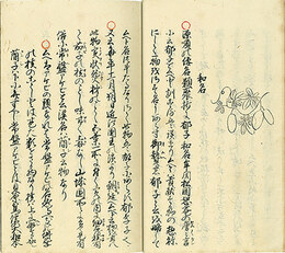 牟閉名実考