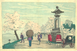 向島桜