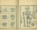 全体新論