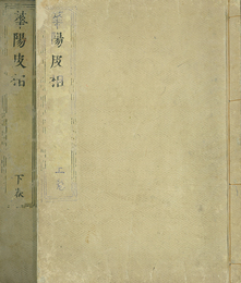華陽皮相