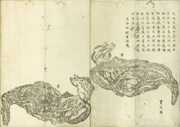 冨士和哥集