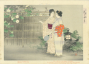 三井好　都のにしき　夜会草