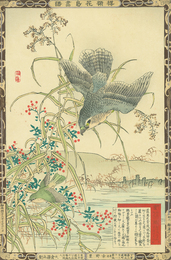 楳嶺花鳥画譜　蘆　鷂