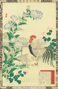 楳嶺花鳥画譜　桔梗　鶏