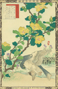 楳嶺花鳥画譜　黄槿　隼