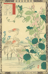 楳嶺花鳥画譜　?豆　朱鷺