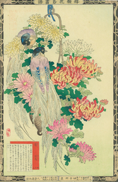 楳嶺花鳥画譜　菊　風鳥　