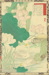 楳嶺花鳥画譜　蓮　鵞