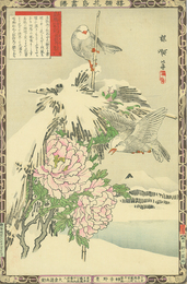 楳嶺花鳥画譜　島鵯　温牡丹