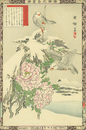 楳嶺花鳥画譜　島鵯　温牡丹