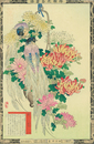 楳嶺花鳥画譜　菊　風鳥　