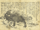 ［西洋舶来］シーイ　和名　豪猪（やまあらし）