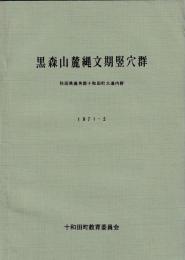 黒森山麓縄文期竪穴群