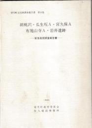 胡桃沢・瓜生坂Ａ・宮久保Ａ・布施山寺Ａ・岩井遺跡　緊急発掘調査報告書