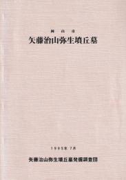 矢藤治山弥生墳丘墓
