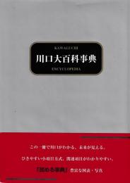 川口大百科事典