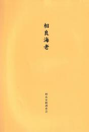 相良海老