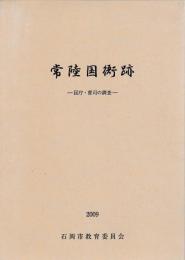 常陸国衛跡　国庁・曹司の調査