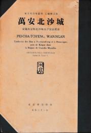 萬安北沙城