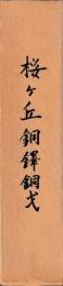 桜ヶ丘銅鐸銅戈　本編・図版編