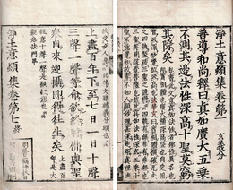 浄土意頓集