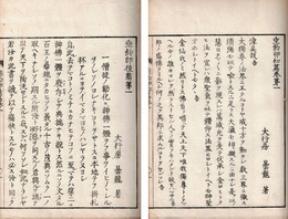 垂鈞卵