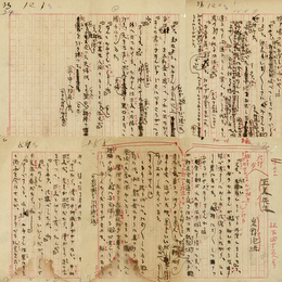 岩野泡鳴草稿