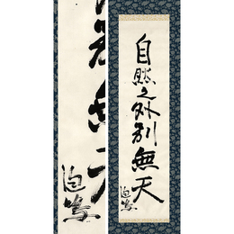 岩野泡鳴書