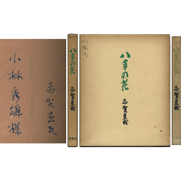 八手の花