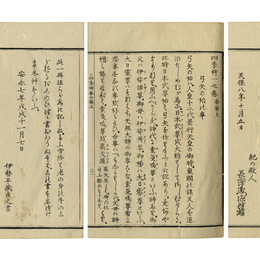 四季草