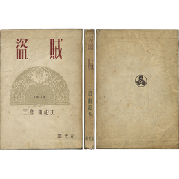 盗賊 現代文学傑作選
